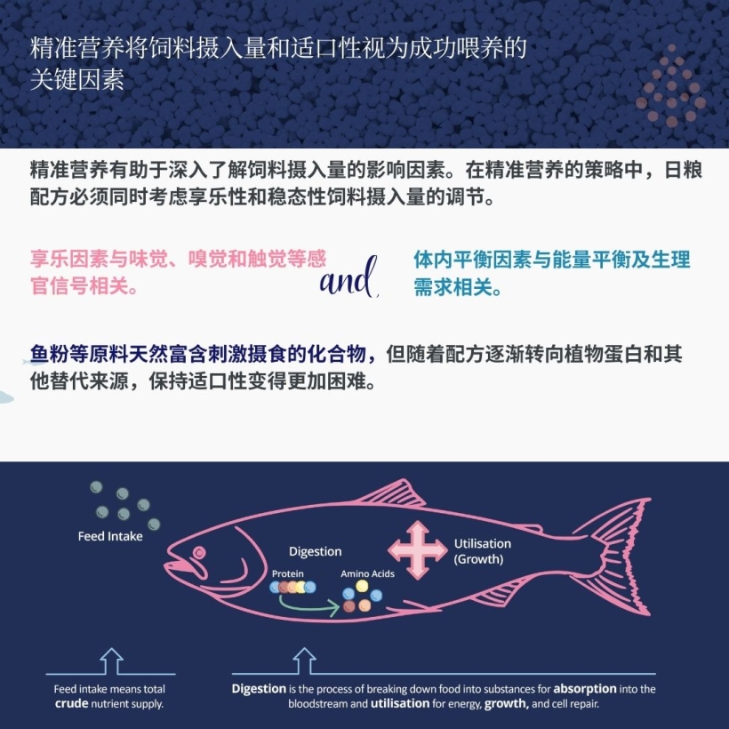 精准营养将饲料摄入量和适口性视为成功喂养的关键因素