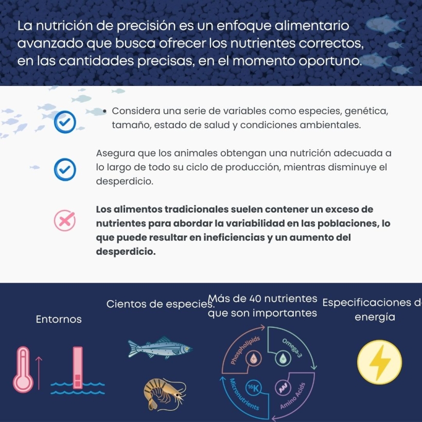 La nutrición de precisión es un enfoque alimentario avanzado que busca ofrecer los nutrientes correctos, en las cantidades precisas