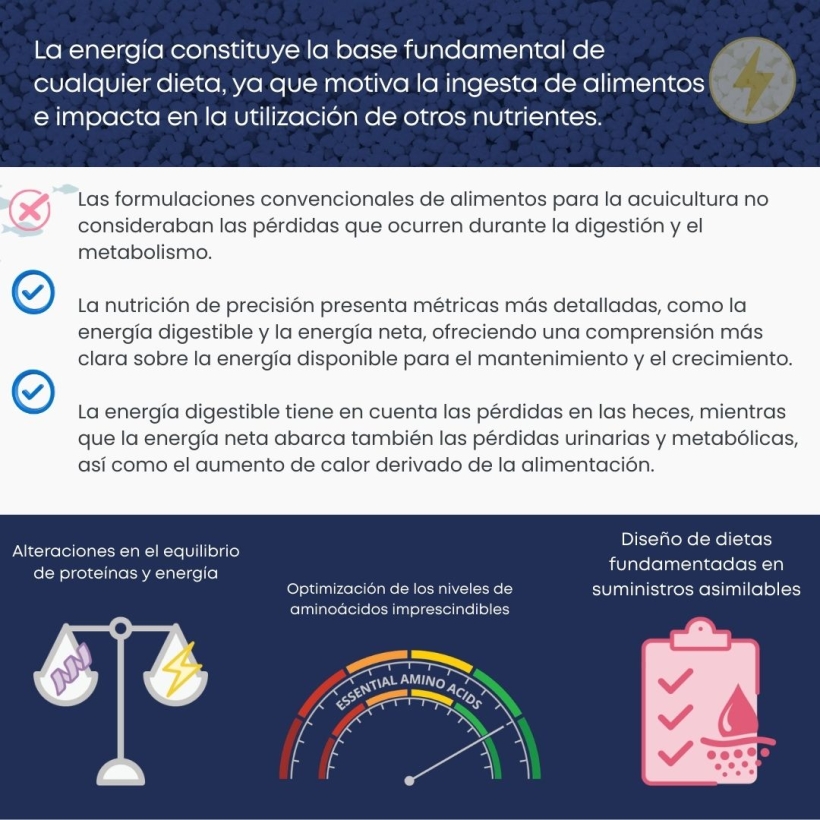 La energía constituye la base fundamental de cualquier dieta, ya que motiva la ingesta de alimentos e impacta en la utilización de otros nutrientes.