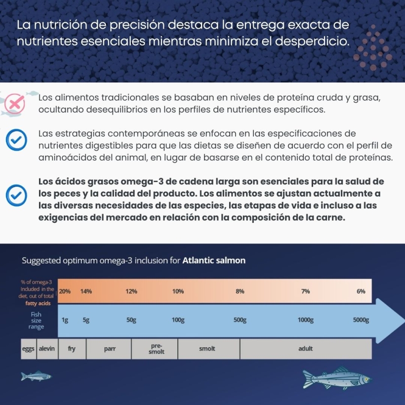 La nutrición de precisión destaca la entrega exacta de nutrientes esenciales mientras minimiza el desperdicio