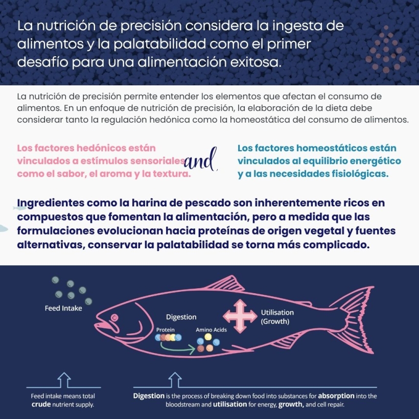 Una nutrición de precisión y un enfoque fundamentado en datos proporcionan ventajas considerables en cuanto a productividad, sostenibilidad y bienestar animal.