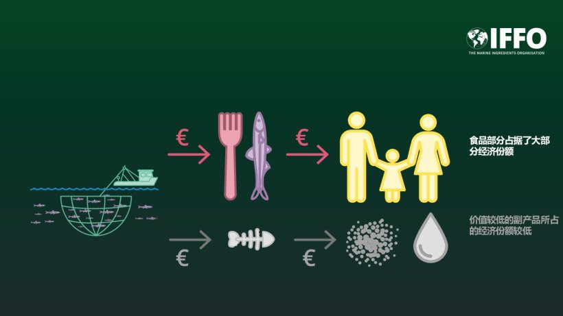 LCA analyses in the feed sector are mandated by the EU to be based on economic allocation