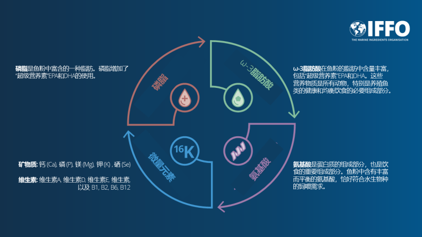 水产饲料的全面营养