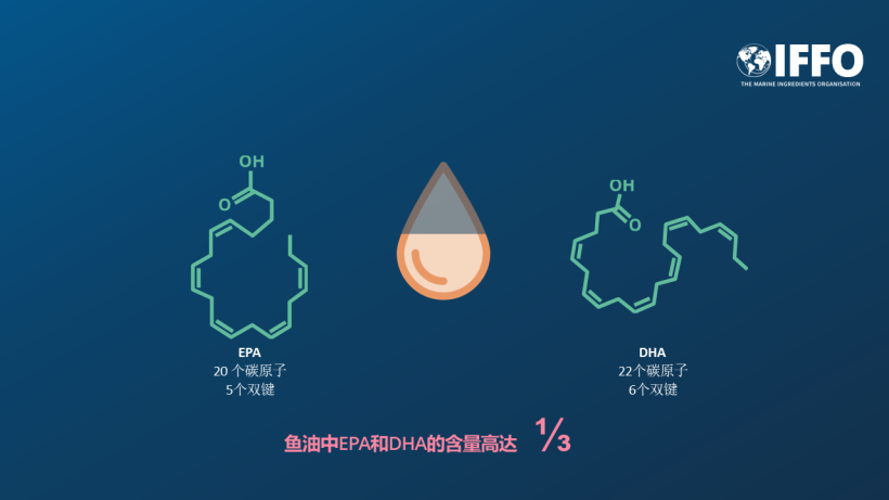 获取EPA和DHA最有效的途径