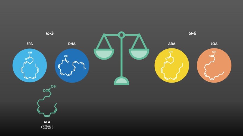 Omega-3s work in balance with omega-6s 