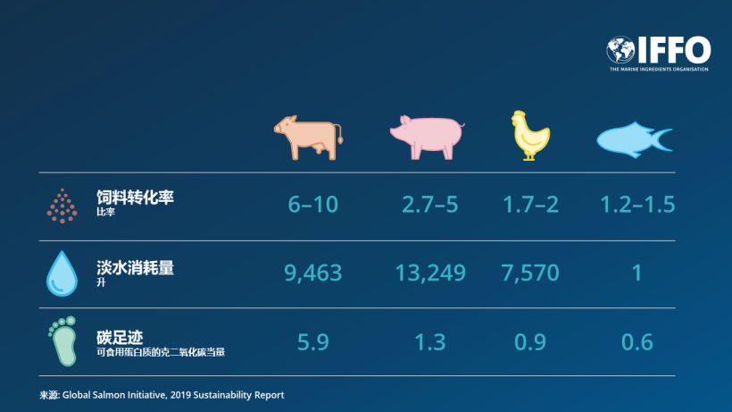 资源效率最高的动物蛋白质