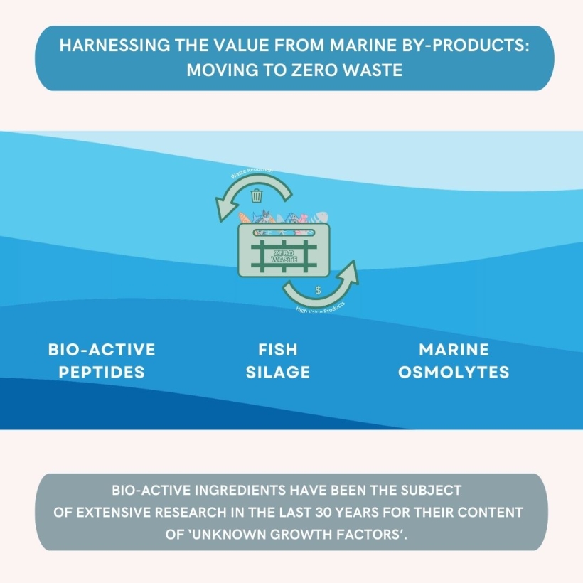Harnessing the value from marine by-products: moving to zero waste