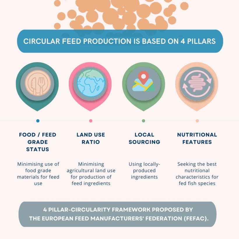 circular feed production is based on 4 pillars