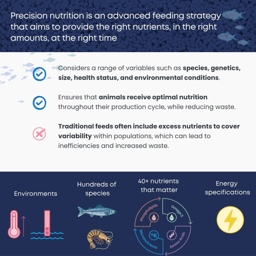 Precision nutrition is an advanced feeding strategy that aims to provide the right nutrients, in the right amounts, at the right time