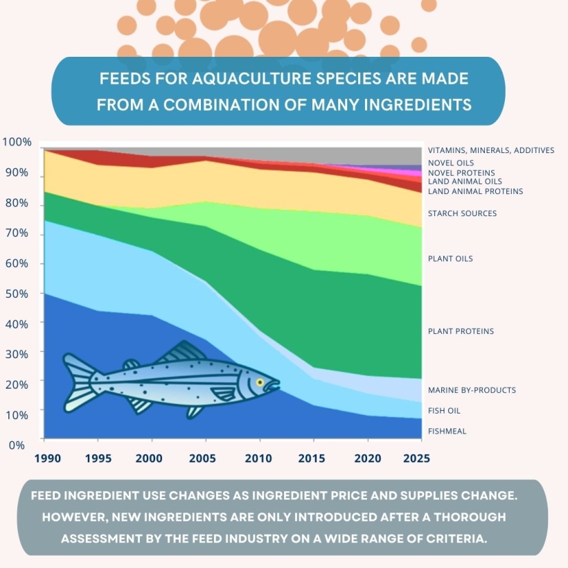 Feeds for aquaculture species are made from a combination of many ingredients