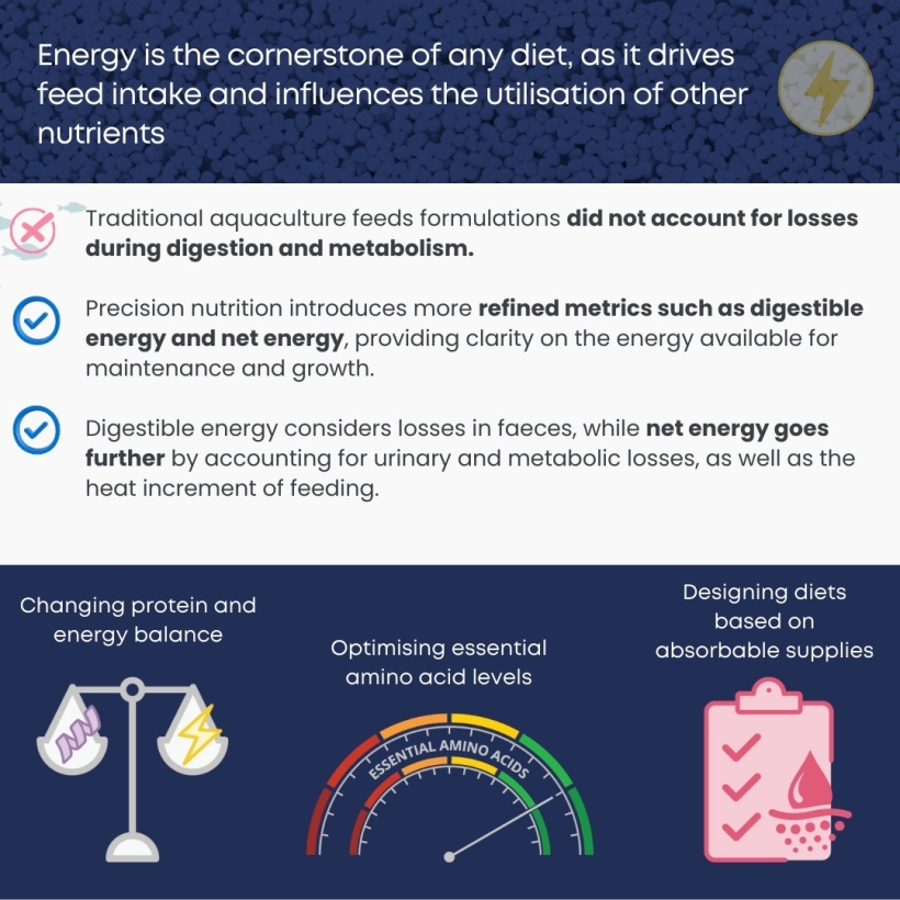 Energy is the cornerstone of any diet, as it drives feed intake and influences the utilisation of other nutrients