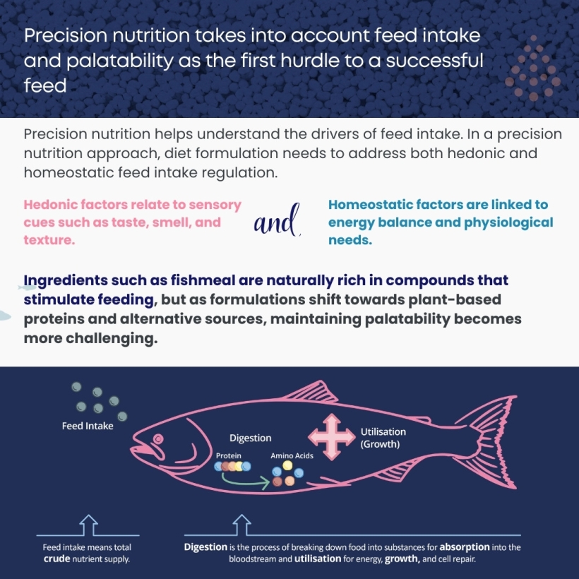 Precision nutrition takes into account feed intake and palatability as the first hurdle to a successful feed