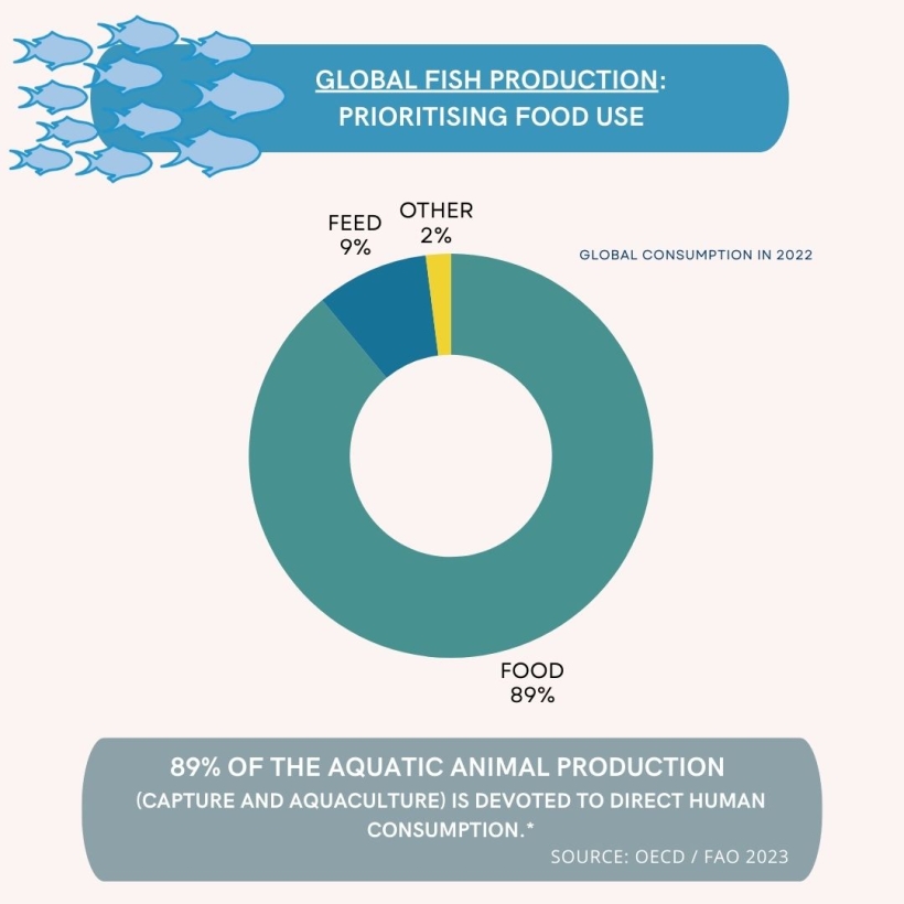 Global fish production: Prioritising food use 