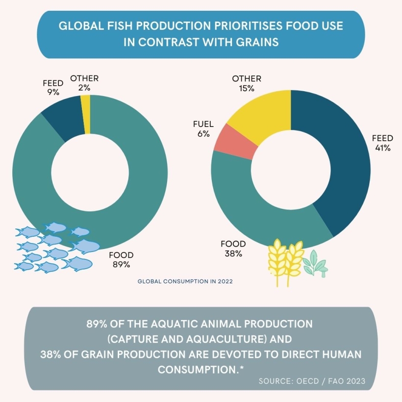 Global fish production prioritises food use in contast with grains