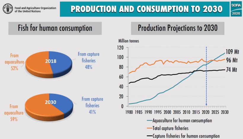 Production and Consumption to 2030