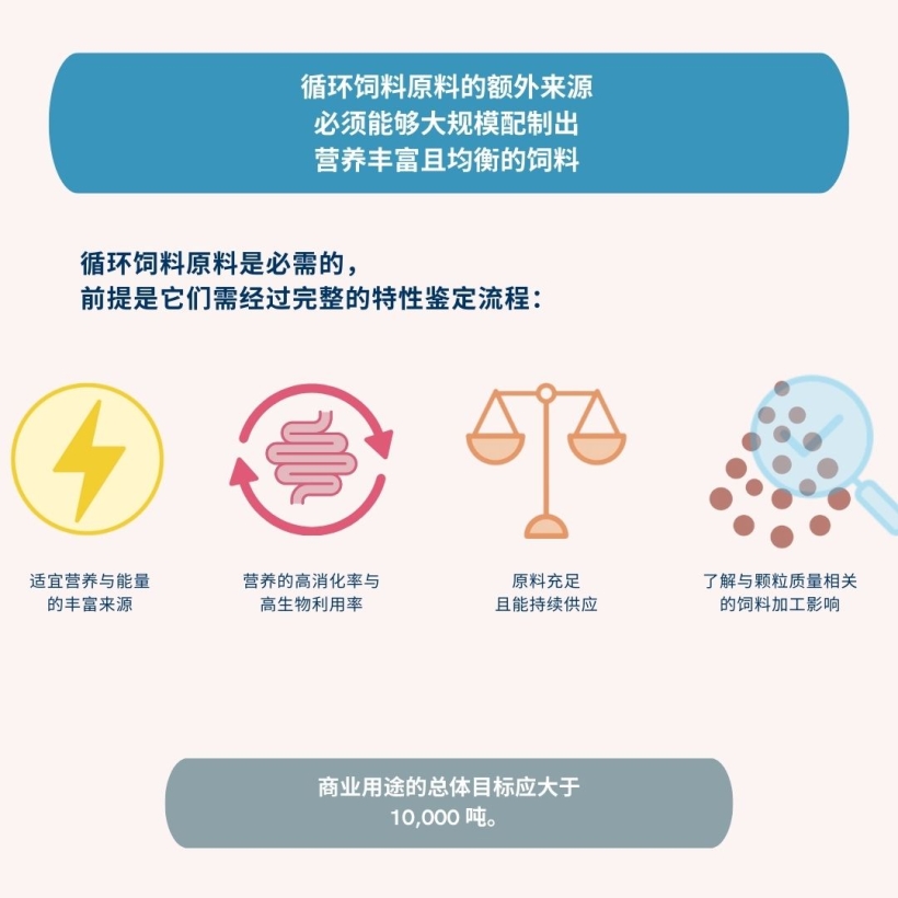 循环饲料原料的额外来源必须能够大规模配制出营养丰富且均衡的饲料
