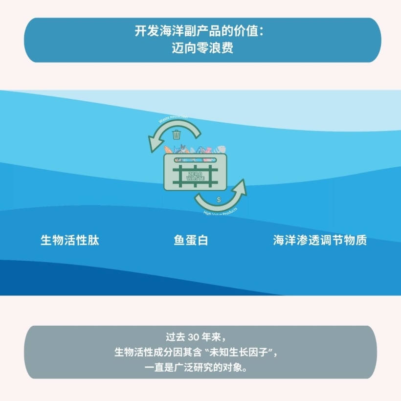 开发海洋副产品的价值：迈向零浪费