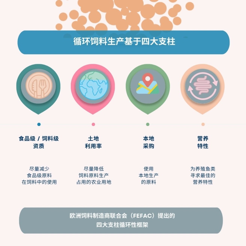 循环饲料生产基于四大支柱