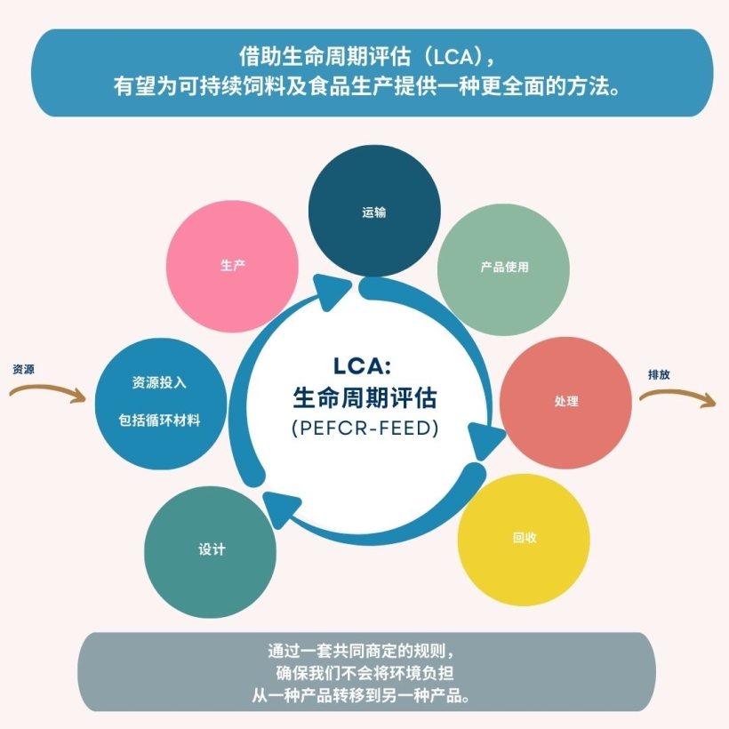借助生命周期评估（LCA），有望为可持续饲料及食品生产提供一种更全面的方法