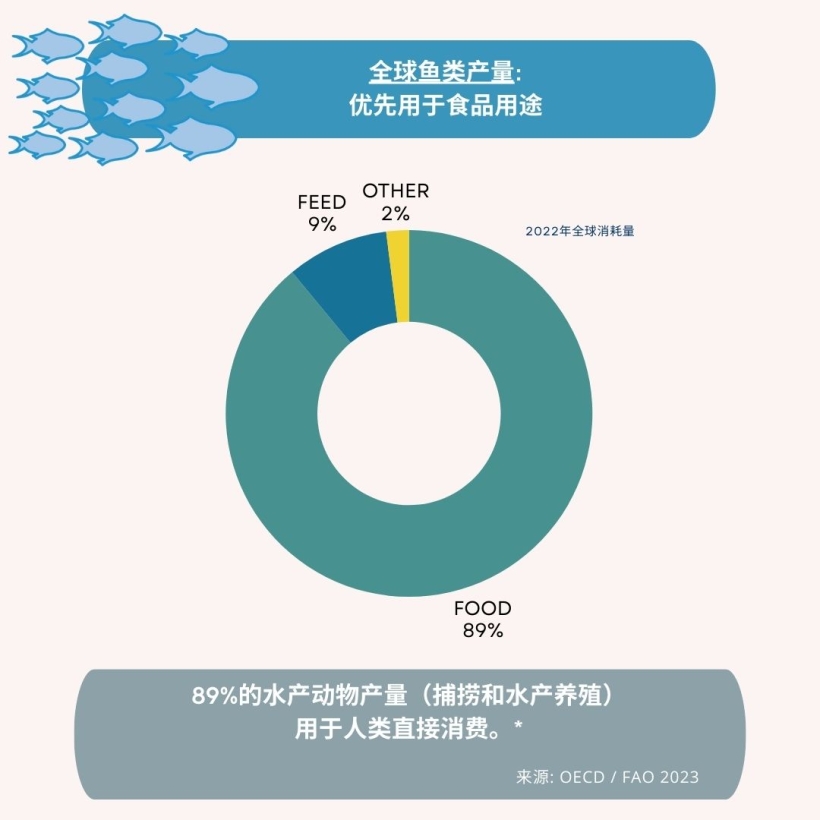 全球鱼类产量：优先用于食品用途