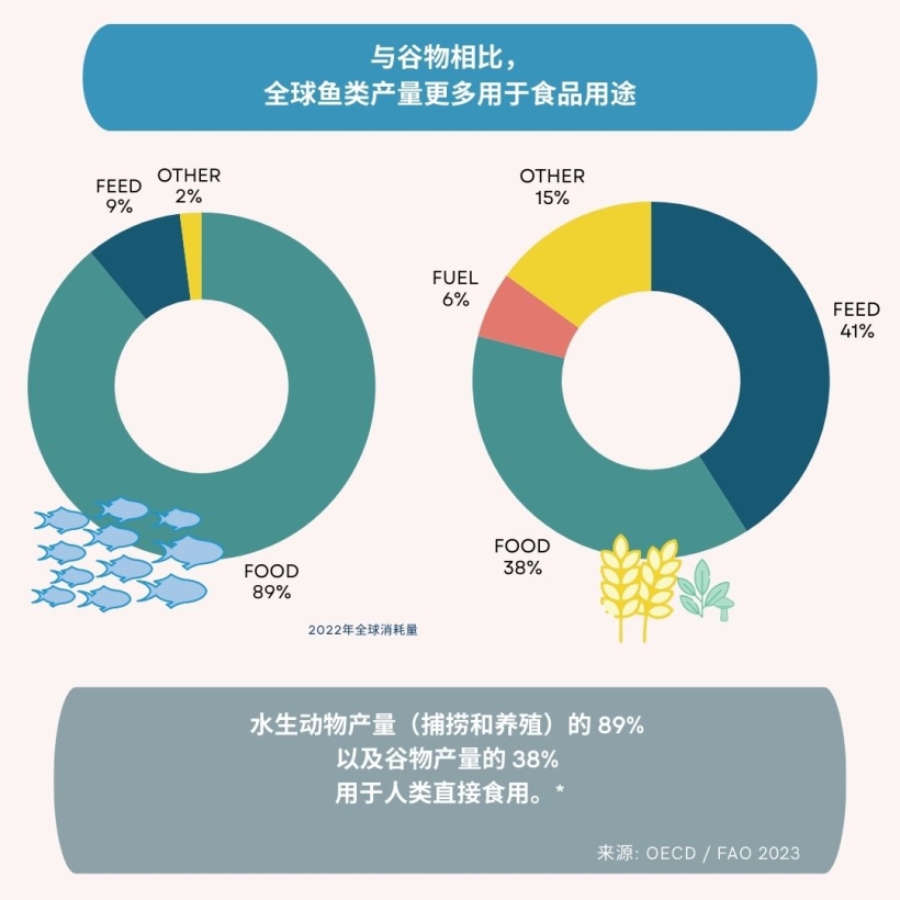 与谷物相比，全球鱼类产量更多用于食品用途