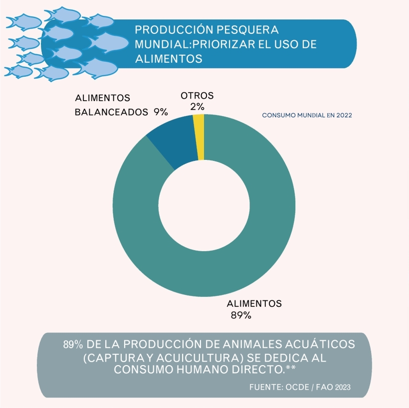 Producción pesquera mundial: priorizar el uso de alimentos