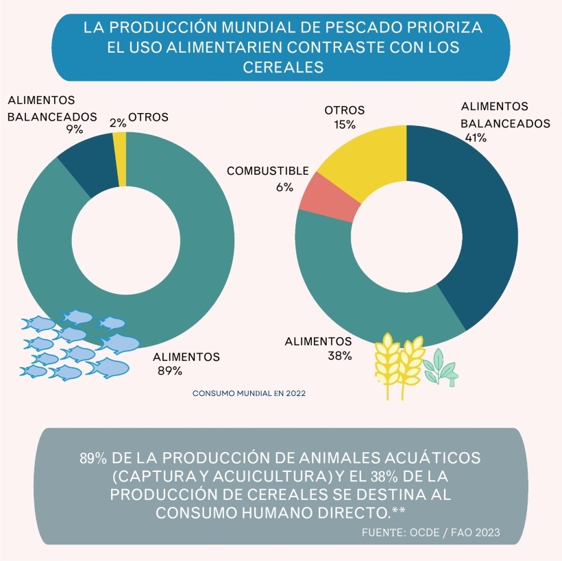 La producción mundial de pescado prioriza el uso alimentarien contraste con los cereales