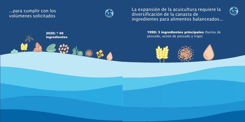 La expansión de la acuicultura requiere la diversificación de la canasta de ingredientes para alimentos balanceados