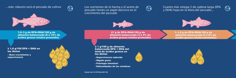Los nutrientes de la harina y el aceite de pescado tienen un papel decisivo en el crecimiento del pescado