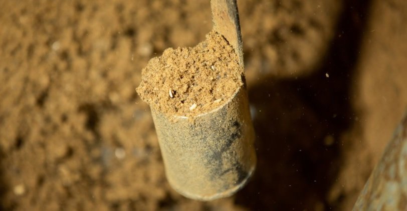 fishmeal