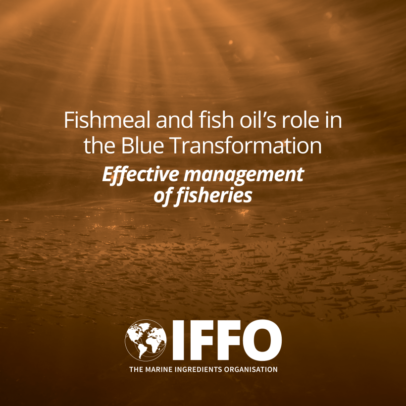 Effective Management of Fisheries