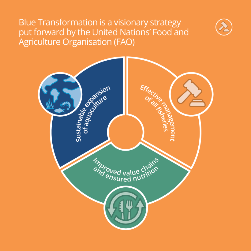 Blue Transformation is a visionary strategy put forward by the United Nations' Food and Agriculture Organisation