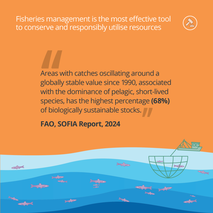 Fisheries management is the most effective tool to conserve and responsibly utilise resources