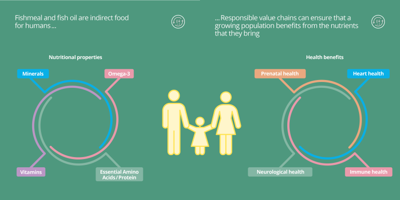 Fishmeal and fish oil are indirect food for humans