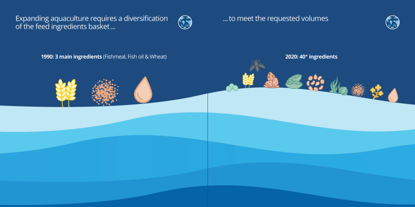 Expanding Aquaculture requires a diversification of the feed ingredients basket to meet the requested volumes