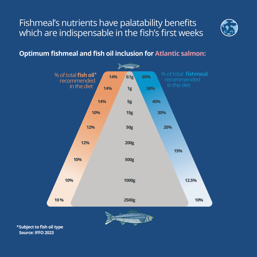 Fishmeal's nutrients have palatability benefits which are indispensable in the fish's first weeks