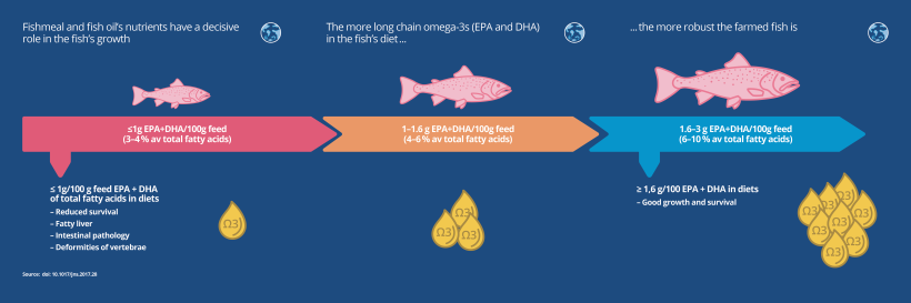 Fishmeal and fish oil's nutrients have a decisive role in the fish's growth