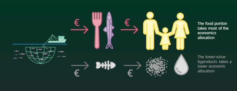 LCA analyses in the feed sector are mandated by the EU to be based on economic allocation