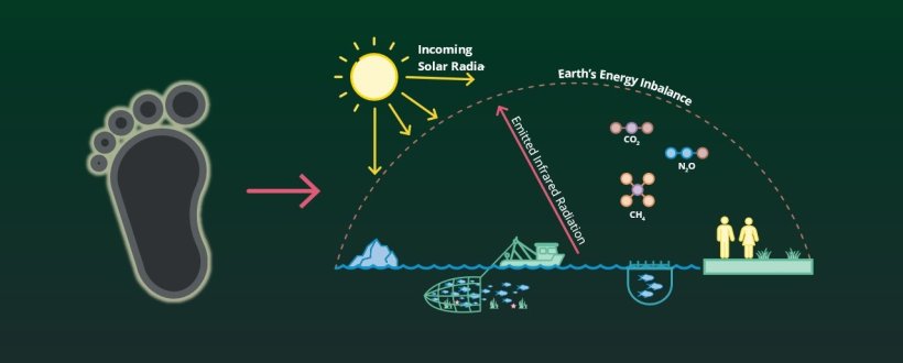 A carbon footprint is the total amount of greenhouse gas emissions causing global warming