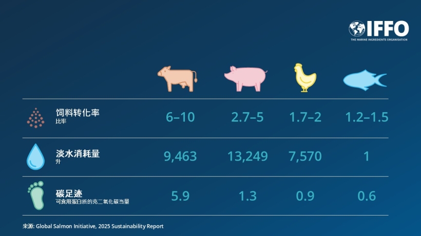 养殖鱼类是地球上资源效率最高的动物蛋白质