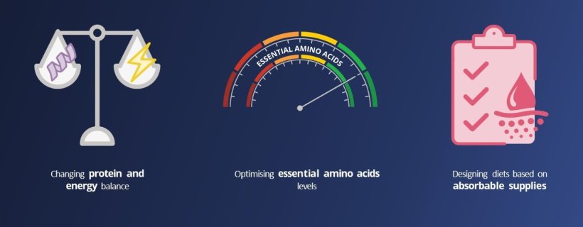 feed design depending on these various parameters