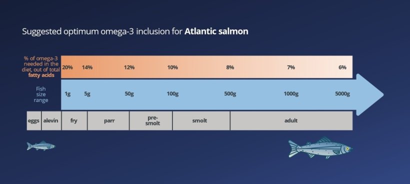 Suggested optimum omega-3 inclusion for Atlantic salmon 