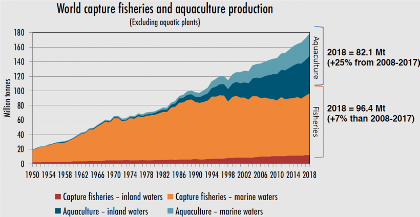 World capture fisheries