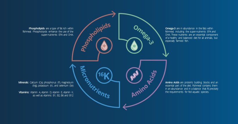 well rounded nutrition in aquatic diets