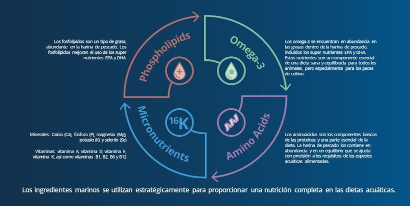 well rounded nutrition in aquatic diets