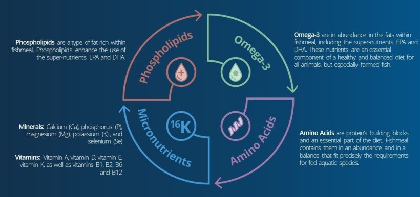 well rounded nutrition in aquatic diets