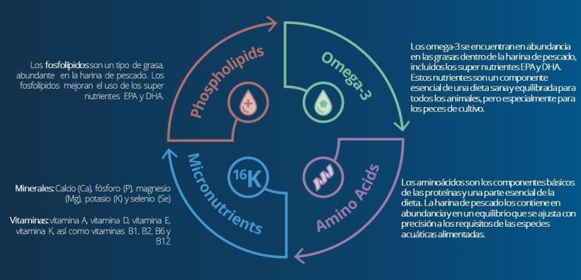 well rounded nutrition in aquatic diets