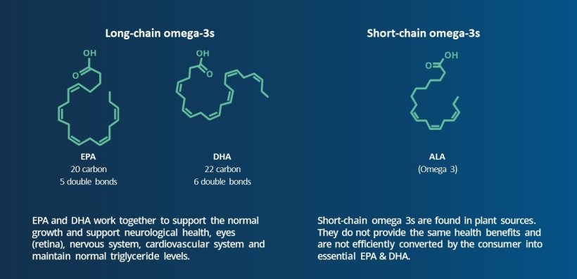 Omega-3s play a specific role 