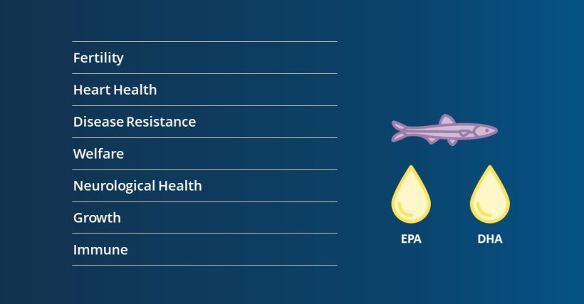 EPA and DHA have the most health benefits