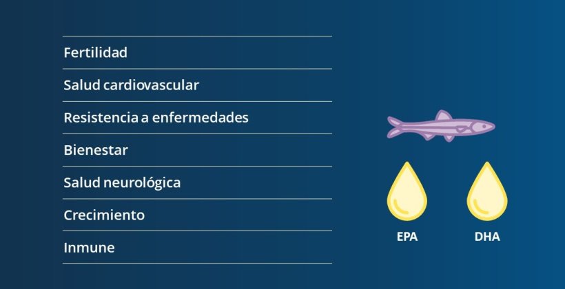 EPA and DHA have the most health benefits